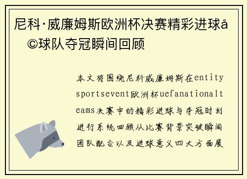 尼科·威廉姆斯欧洲杯决赛精彩进球助球队夺冠瞬间回顾